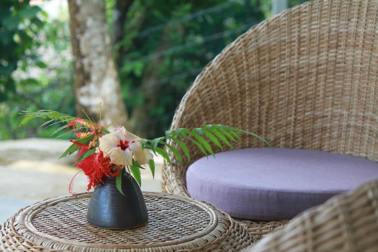 Ebony Boutique Villa アハンガマ エクステリア 写真